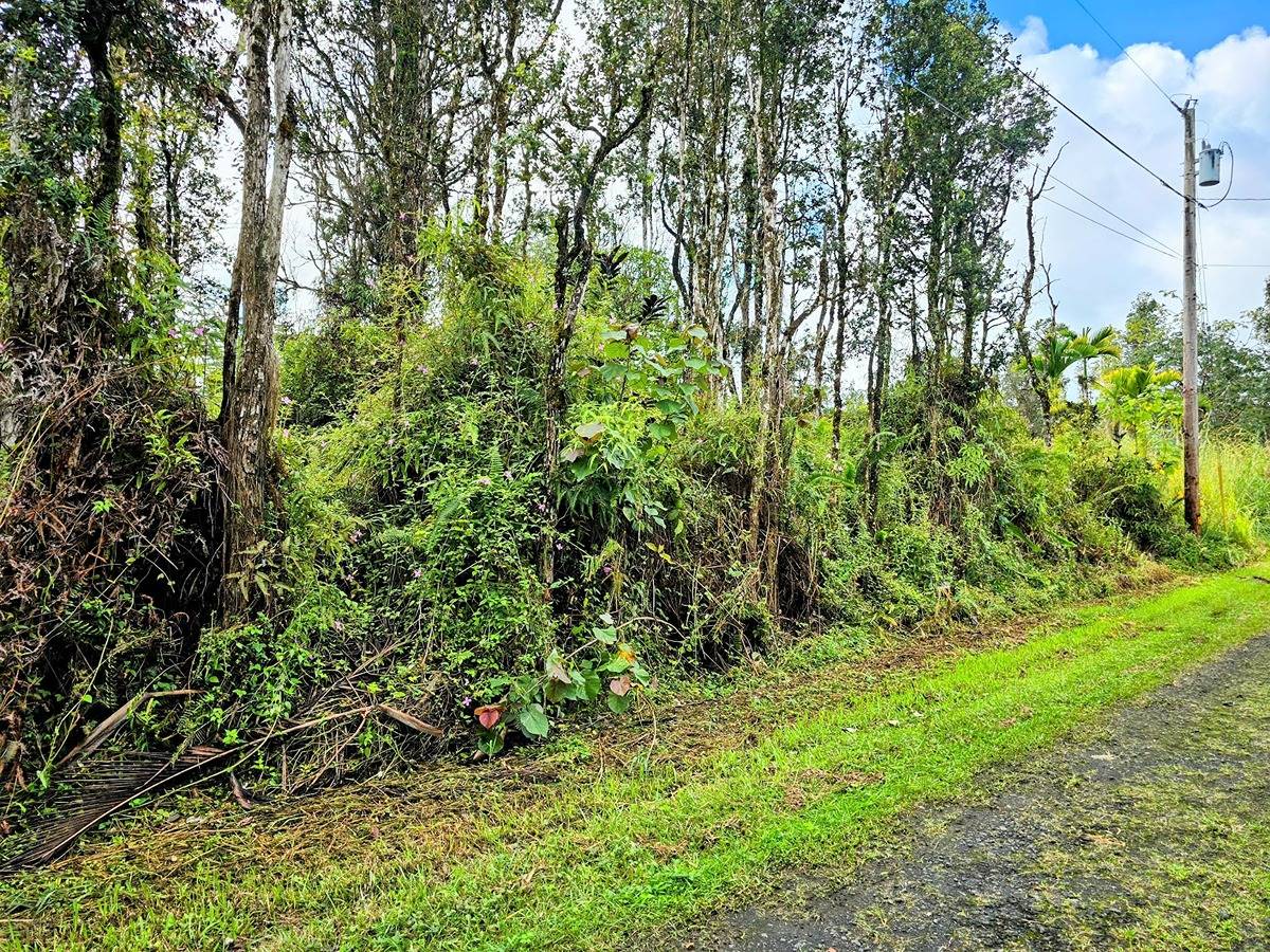 179 Kailua Road Pahoa, HI 96778 - Photo 2 of 11 Gallery Image 2