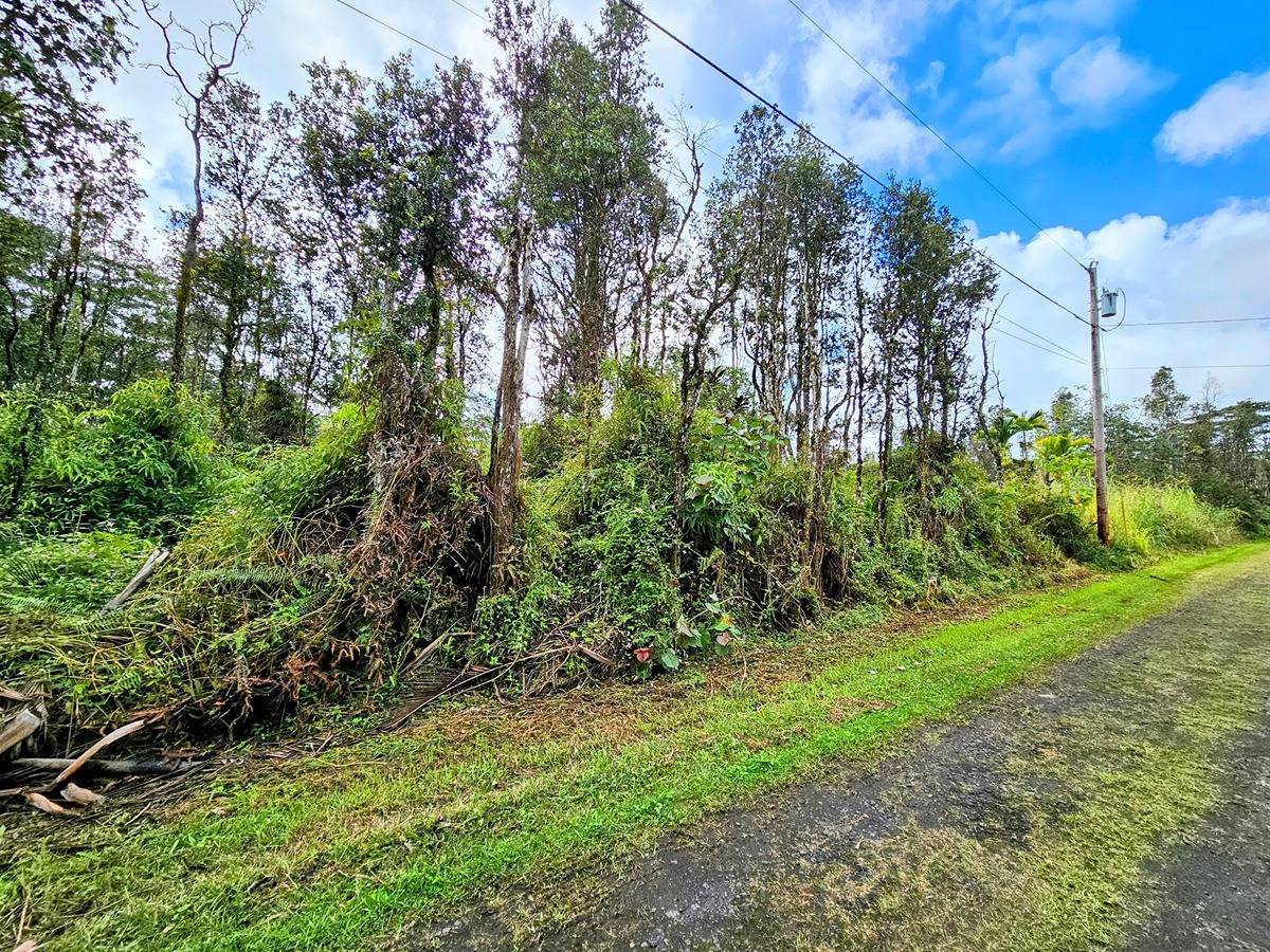 179 Kailua Road Pahoa, HI 96778 - Photo 3 of 11 Gallery Image 3