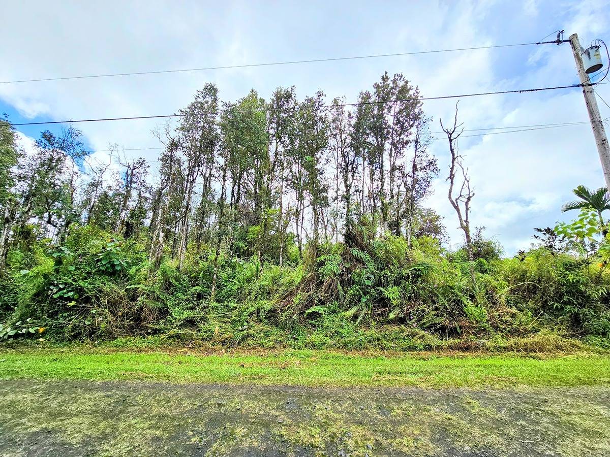 179 Kailua Road Pahoa, HI 96778 - Photo 4 of 11 Gallery Image 4