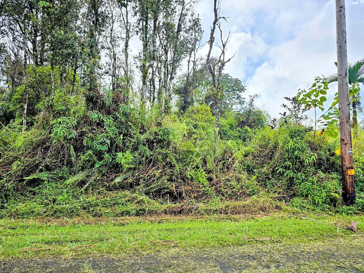 179 Kailua Road Pahoa, HI 96778 - Photo 7 of 11 Gallery Image 7