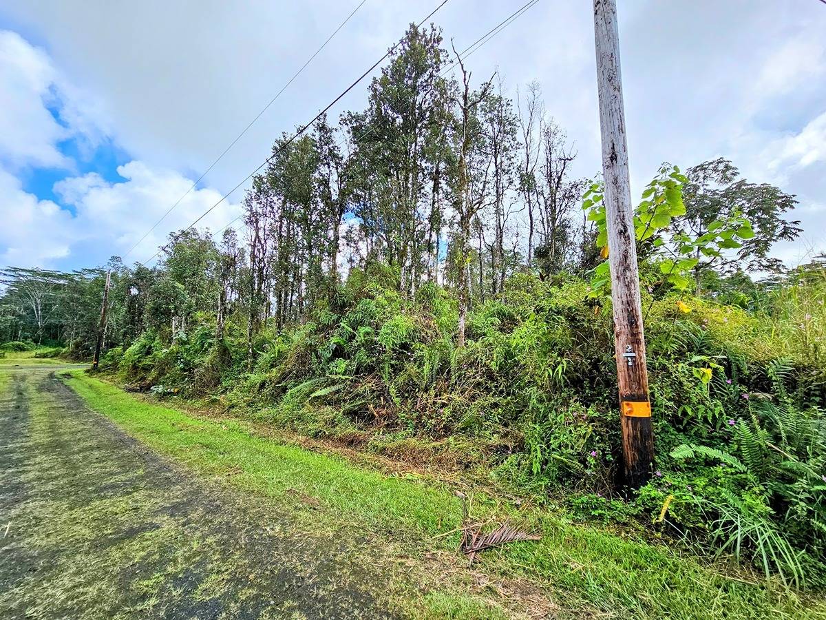 179 Kailua Road Pahoa, HI 96778 - Photo 9 of 11 Gallery Image 9