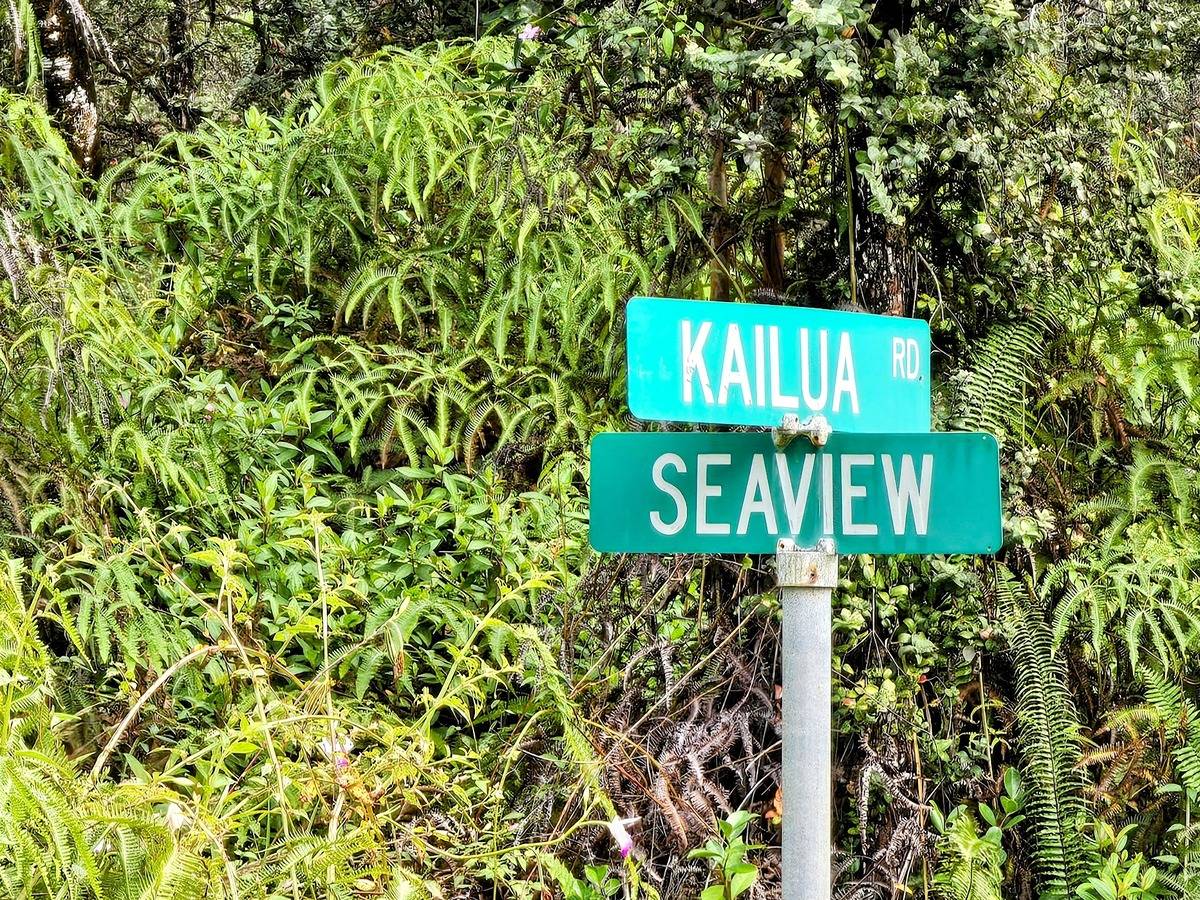 179 Kailua Road Pahoa, HI 96778 - Photo 10 of 11 Gallery Image 10