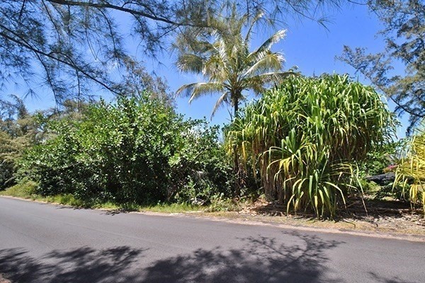 1548 Beach Road Keaau, HI 96749 - Photo 8 of 25 Gallery Image 8