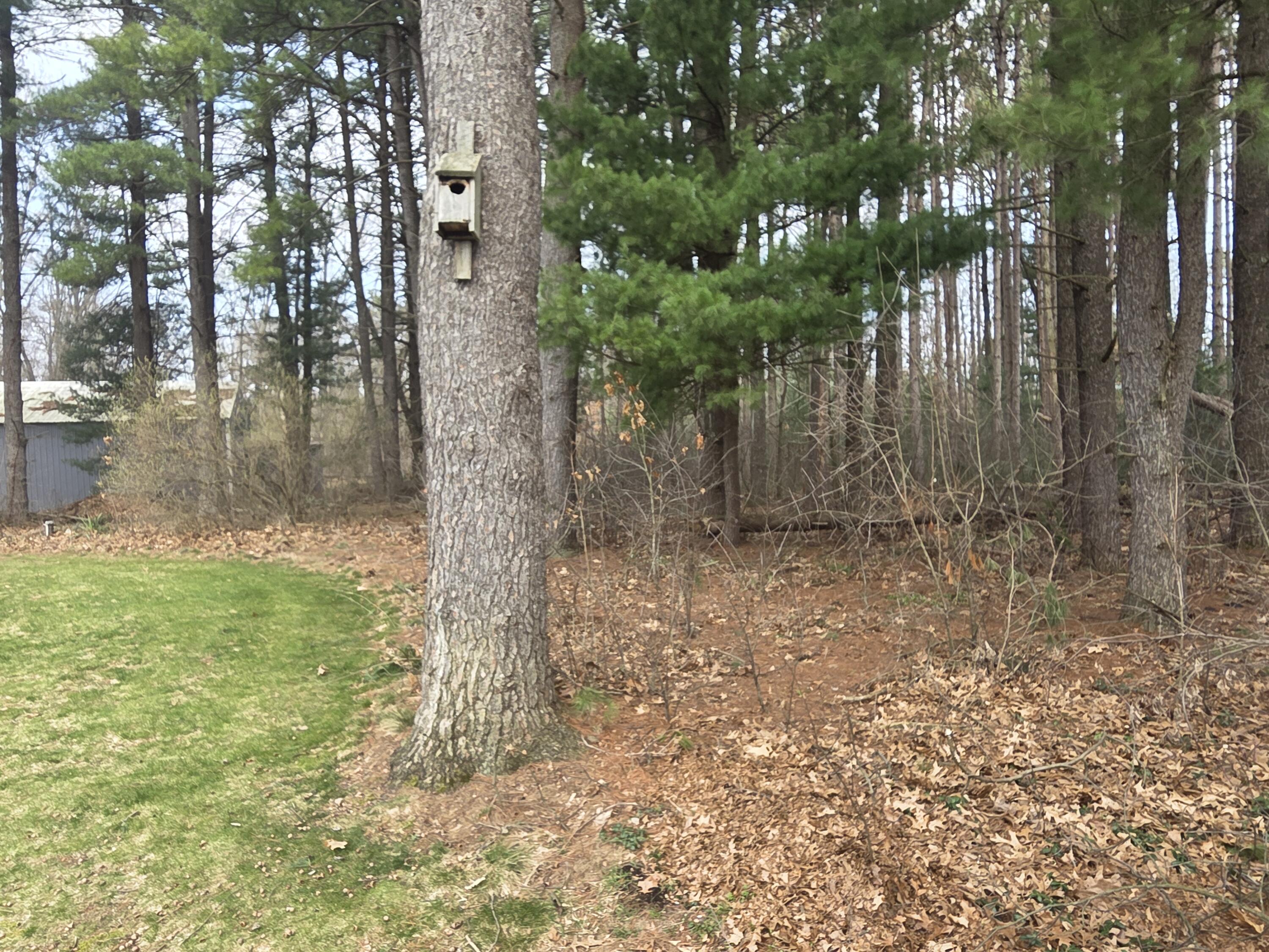 26641 60th Avenue Mattawan, MI 49071 - Photo 13 of 48 Home surrounded by woods
