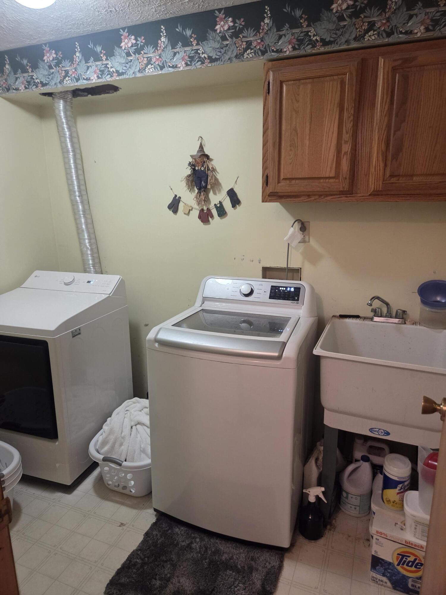 26641 60th Avenue Mattawan, MI 49071 - Photo 14 of 48 Downstairs Laundry Room