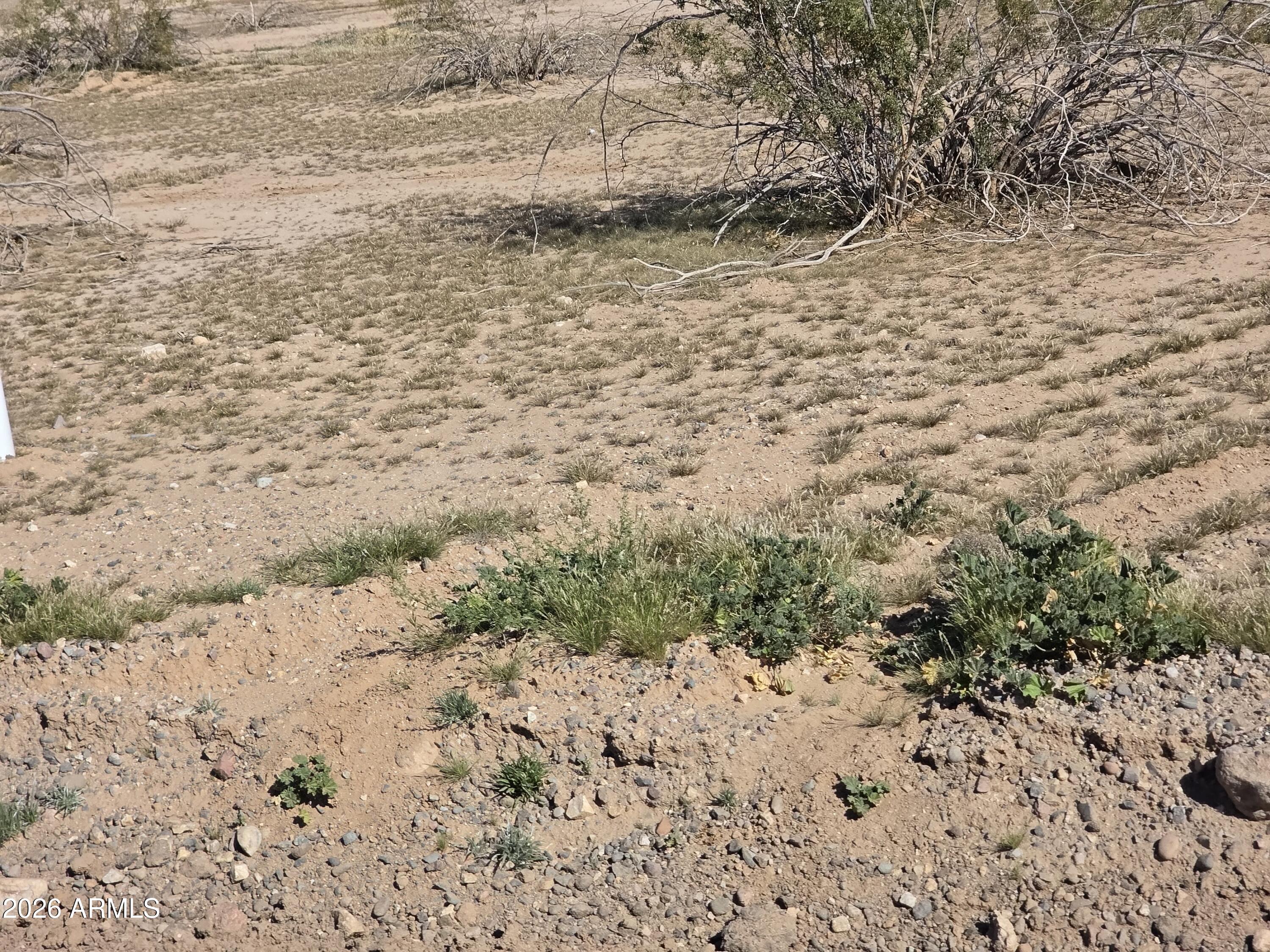 19300 West Roadrunner Road Wittmann, AZ 85361 - Photo 23 of 102 a view of a yard with a yard