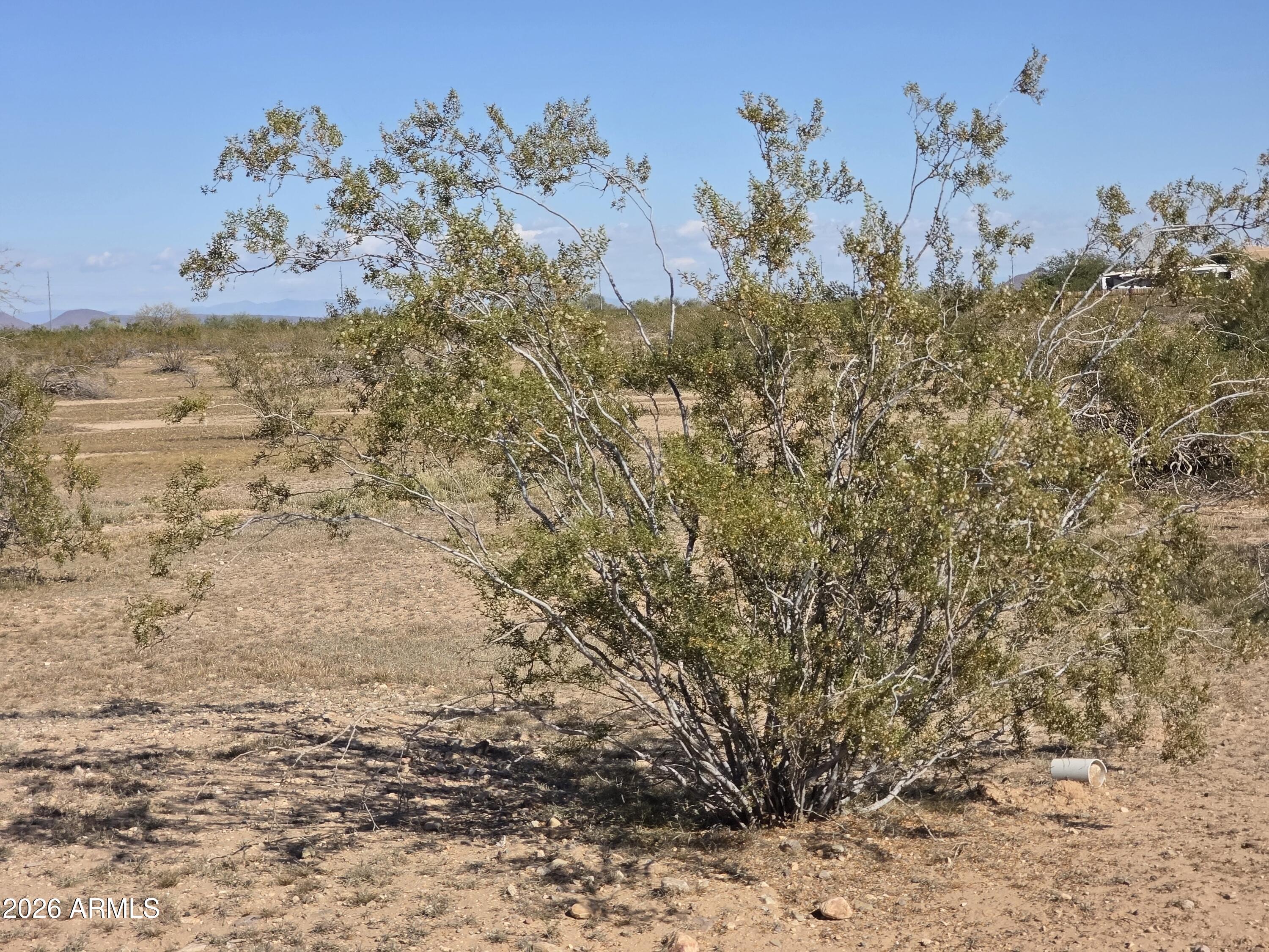 19300 West Roadrunner Road Wittmann, AZ 85361 - Photo 26 of 102 20260214_143628