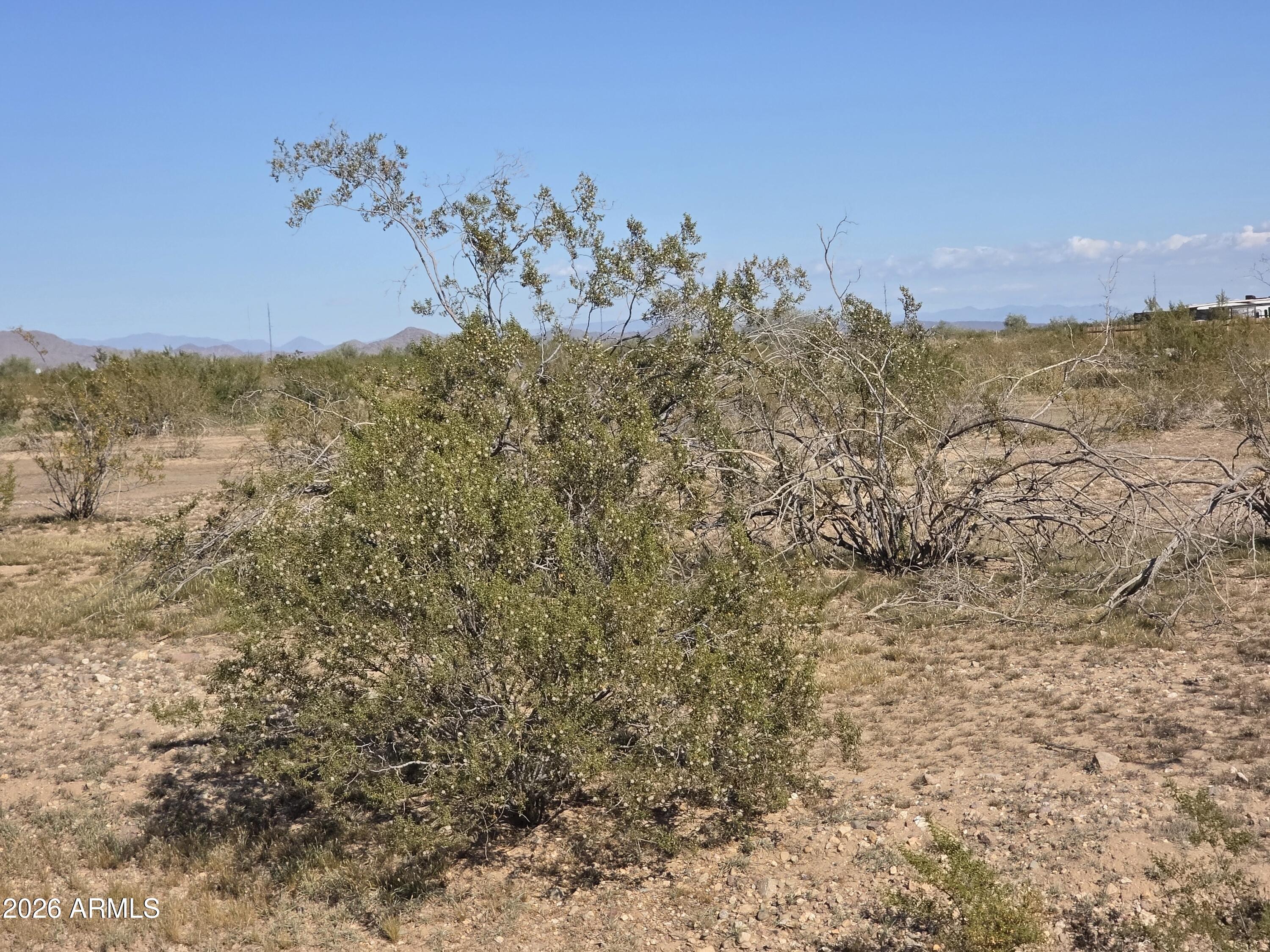 19300 West Roadrunner Road Wittmann, AZ 85361 - Photo 29 of 102 20260214_143615