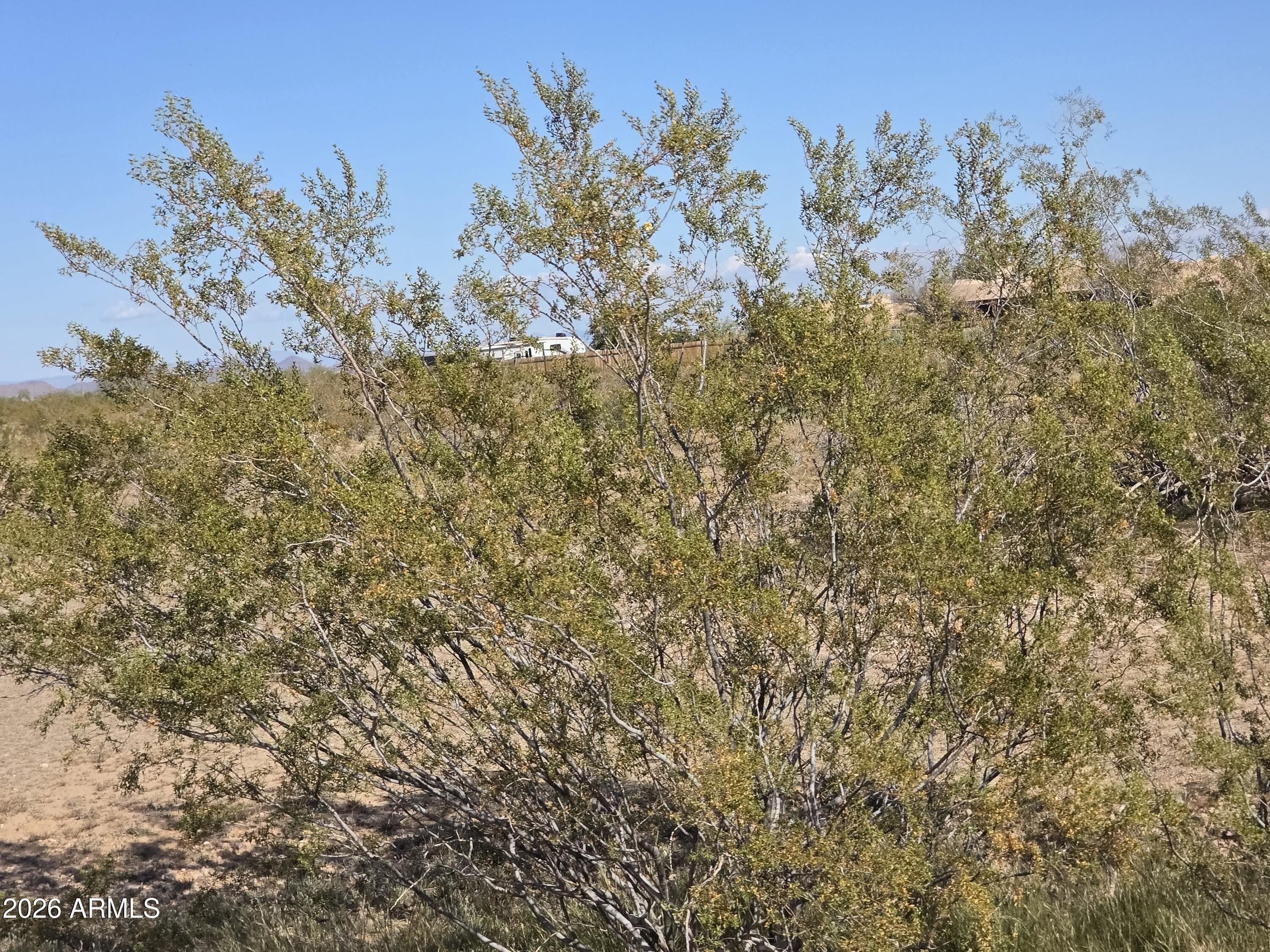 19300 West Roadrunner Road Wittmann, AZ 85361 - Photo 31 of 102 a view of a yard with a tree