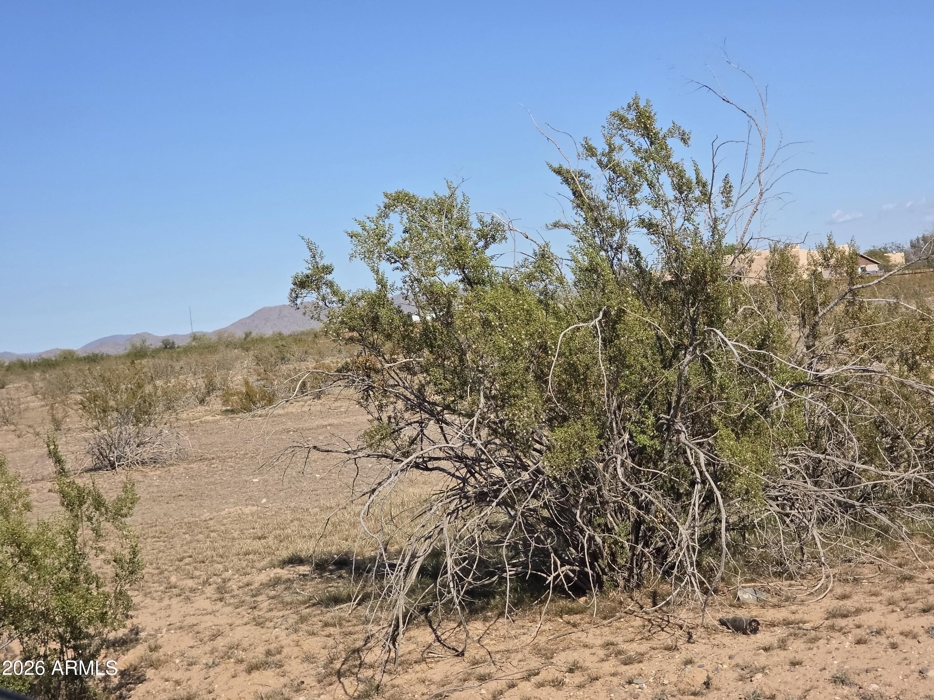 19300 West Roadrunner Road Wittmann, AZ 85361 - Photo 36 of 102 a view of a dry yard with mountains and a tree