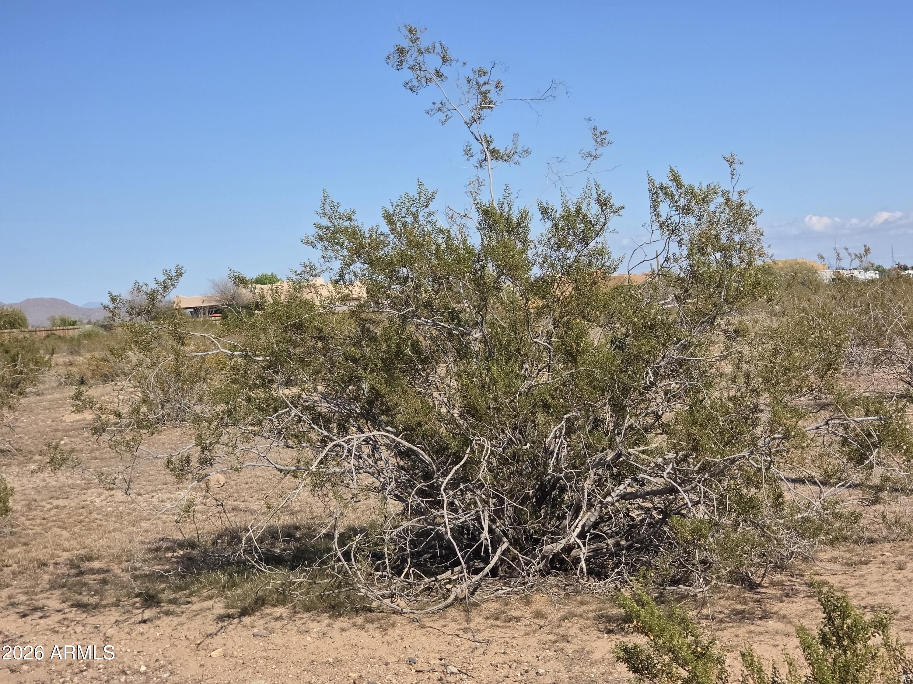 19300 West Roadrunner Road Wittmann, AZ 85361 - Photo 37 of 102 20260214_143551