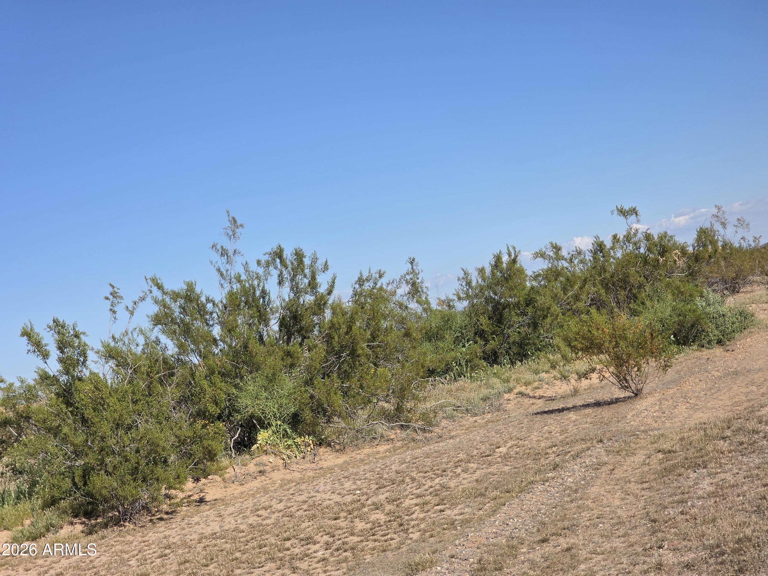 19300 West Roadrunner Road Wittmann, AZ 85361 - Photo 41 of 102 a view of a road with a plant in it