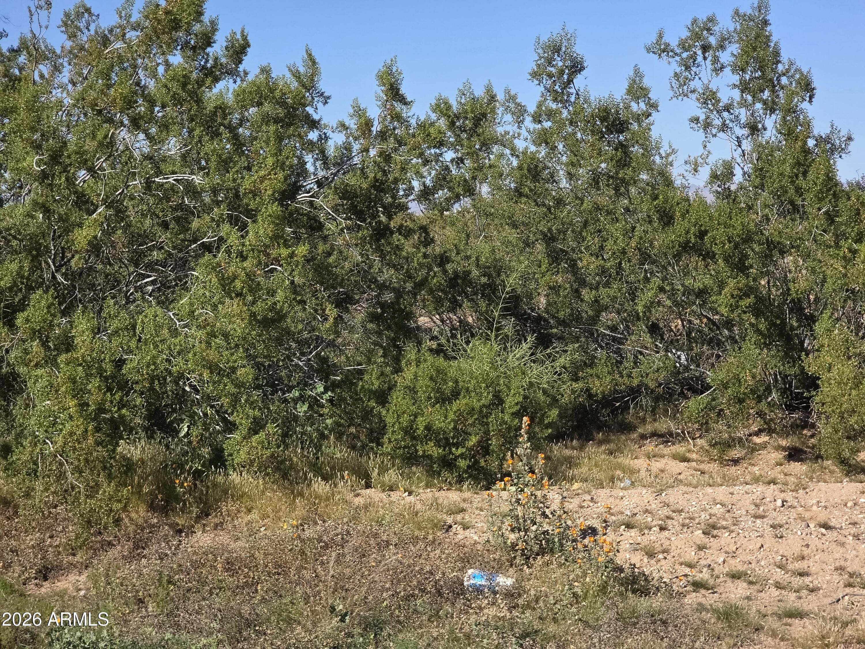 19300 West Roadrunner Road Wittmann, AZ 85361 - Photo 51 of 102 20260214_143445