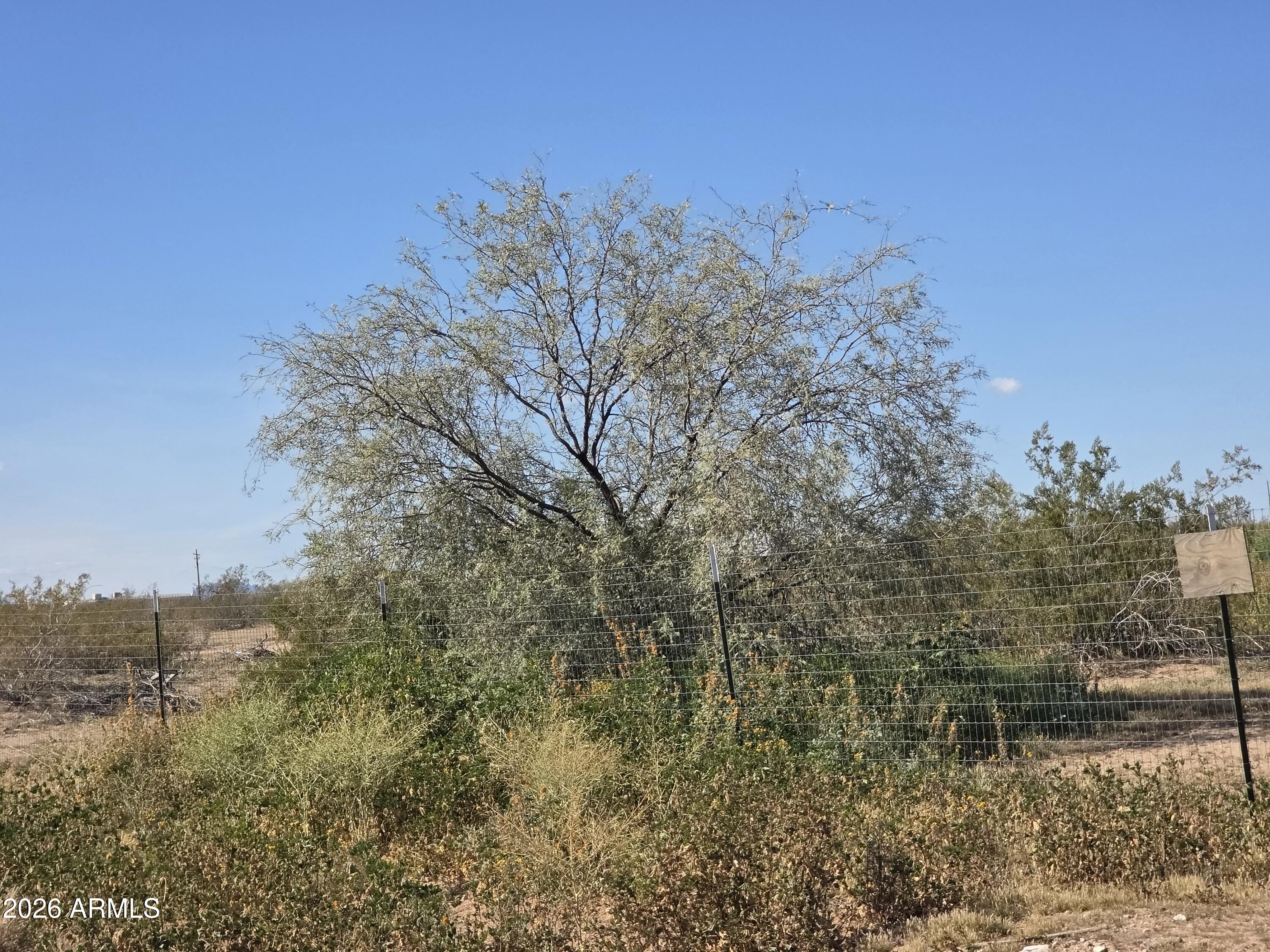 19300 West Roadrunner Road Wittmann, AZ 85361 - Photo 59 of 102 20260214_143409