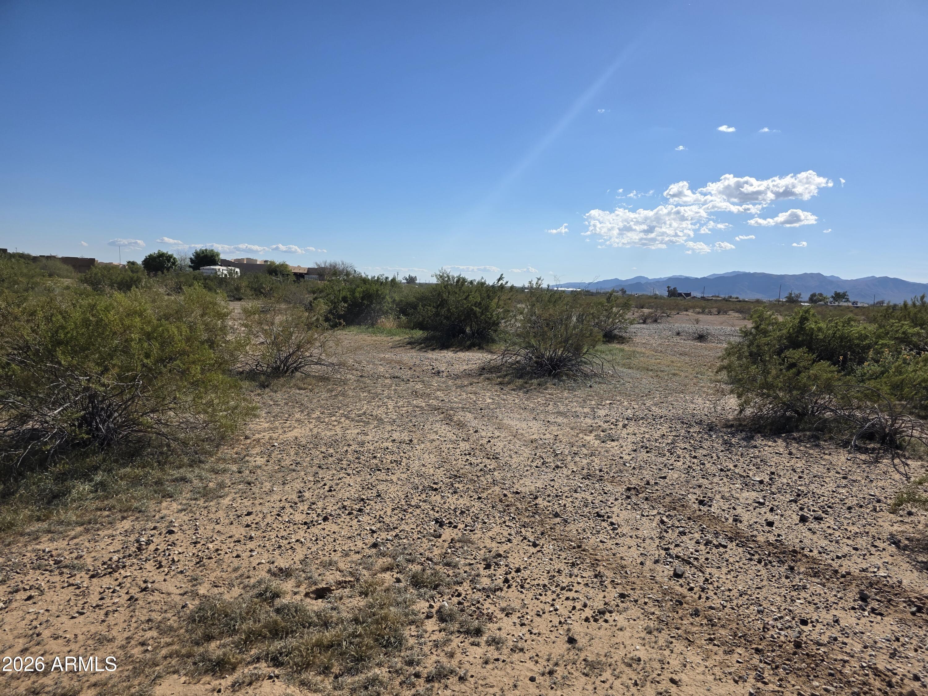 19300 West Roadrunner Road Wittmann, AZ 85361 - Photo 80 of 102 a view of a dry yard with trees