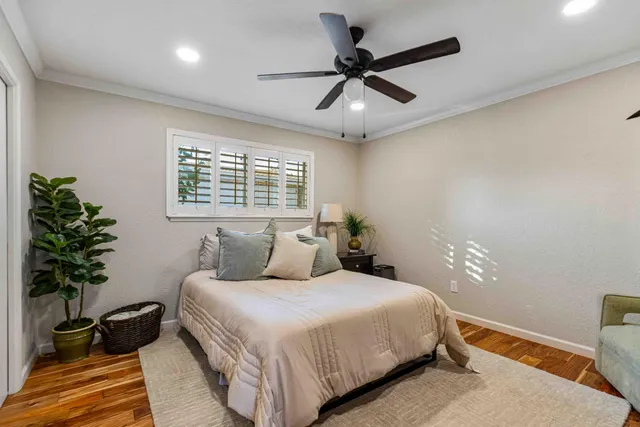 a bedroom with a large bed and a potted plant