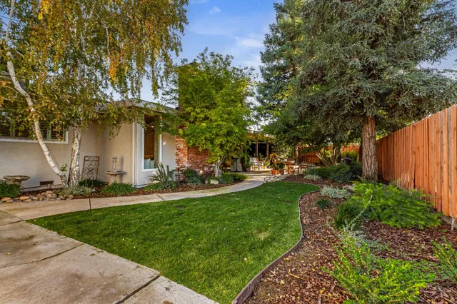 a view of a yard with plants and trees
