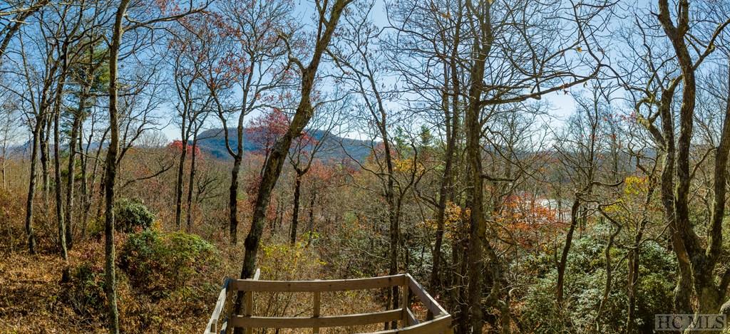 Tbd Windy Top Road Highlands, NC 28741 - Photo 7 of 16 Gallery Image 7