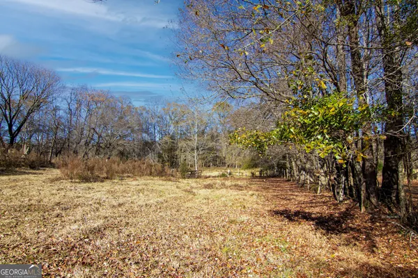 a view of a yard with a tree
