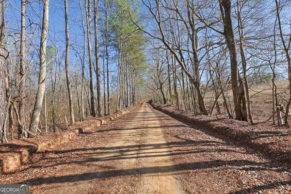 a view of a yard with trees