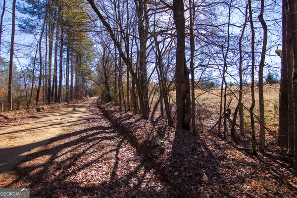 a view of outdoor space with trees