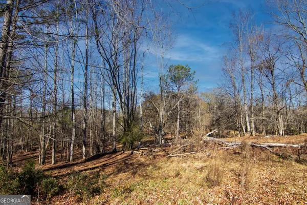 a view of a yard covered with snow in the background