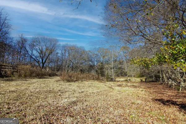 a view of a yard with trees