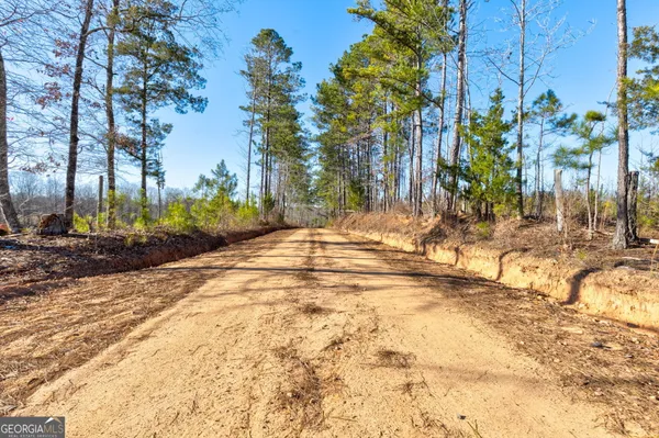 a view of a yard covered in snow