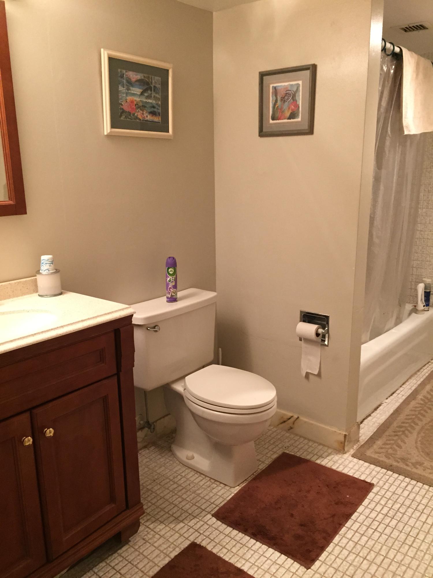 4 Royal Palm Way, Unit 604 Boca Raton, FL 33432 - Photo 6 of 10 Bathroom