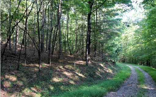 Ridge Road Blue Ridge, GA 30513 - Photo 1 of 1 a view of outdoor space and green space