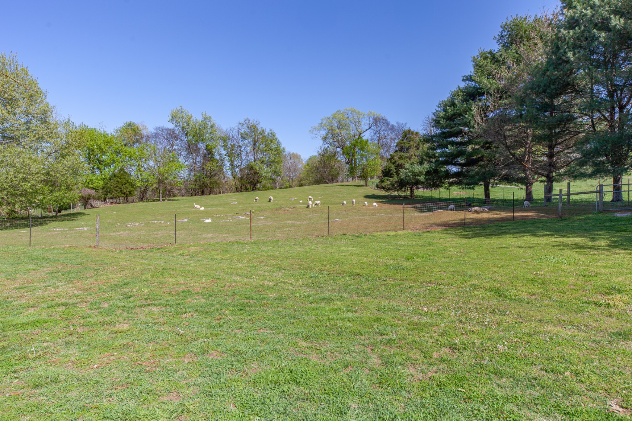 3959 Hopewell Road Culleoka, TN 38451 - Photo 14 of 64 Gallery Image 14