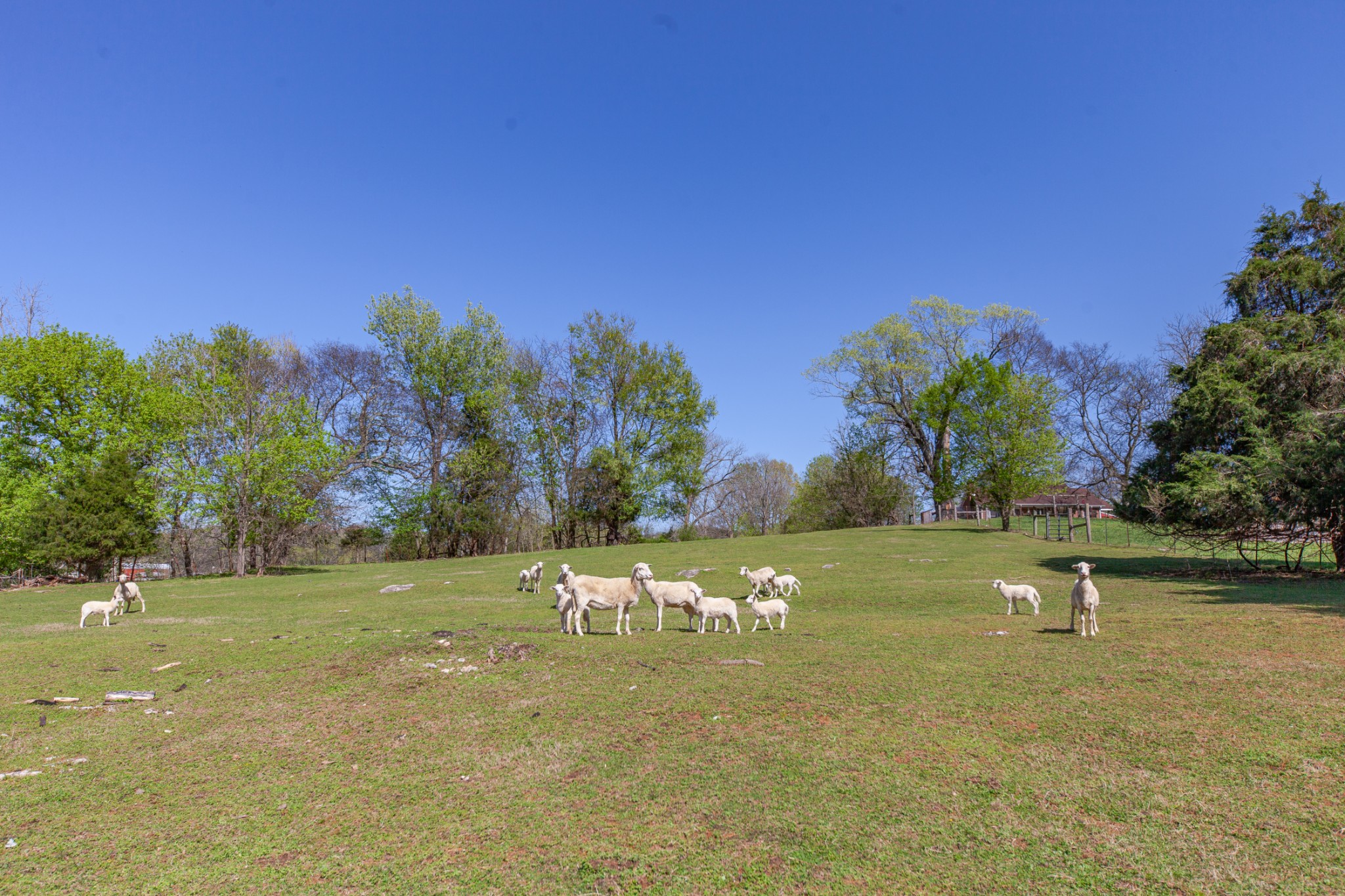 3959 Hopewell Road Culleoka, TN 38451 - Photo 15 of 64 Gallery Image 15