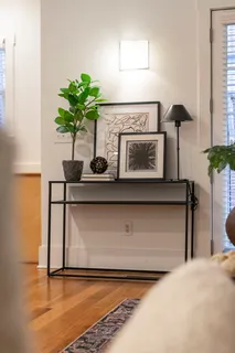 a potted plant sitting on top of a kitchen counter