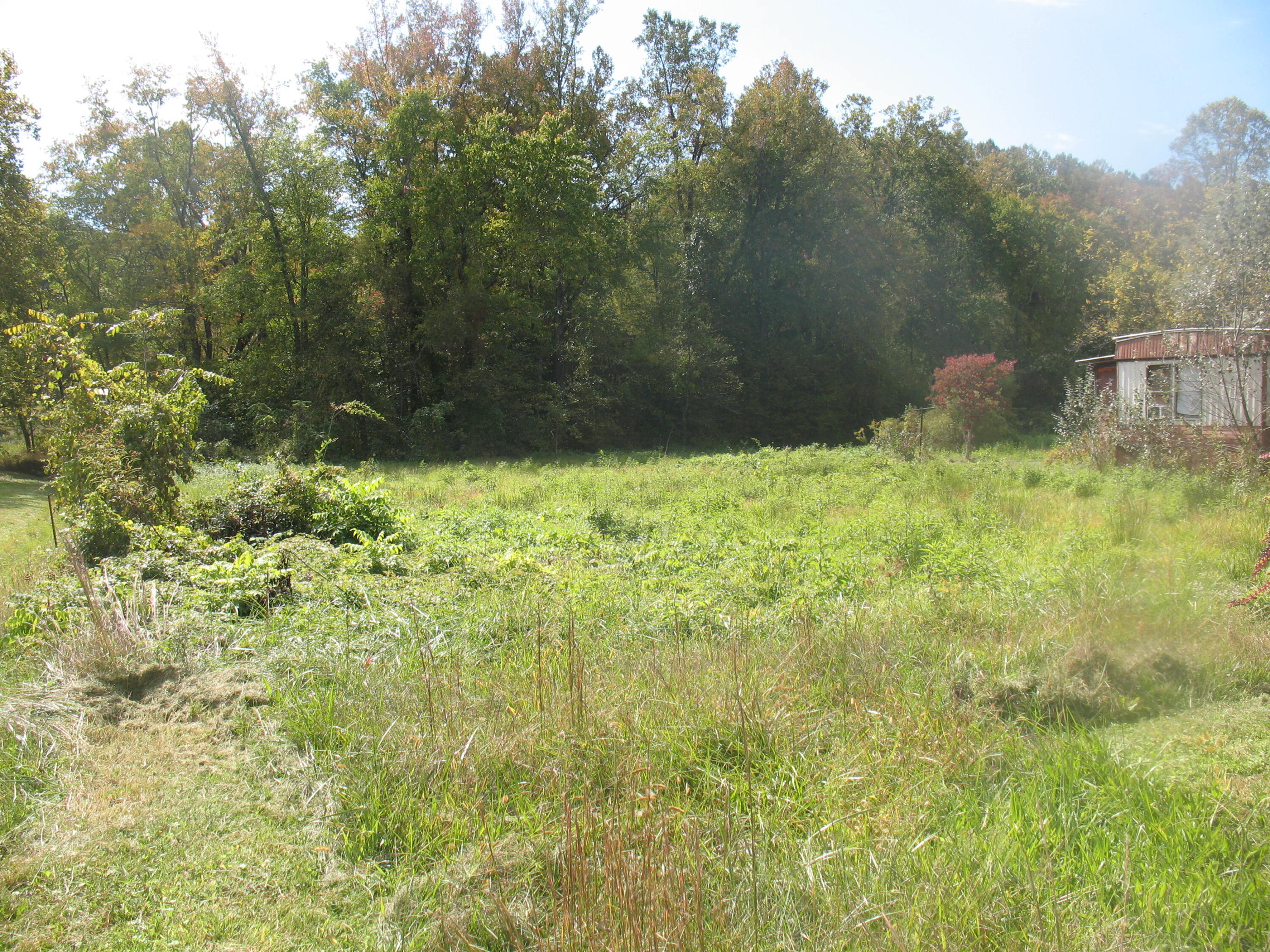 0 Southard Road London, KY 40741 - Photo 3 of 5 IMG_4422