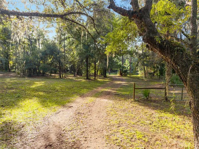a view of an ocean and a mountain
