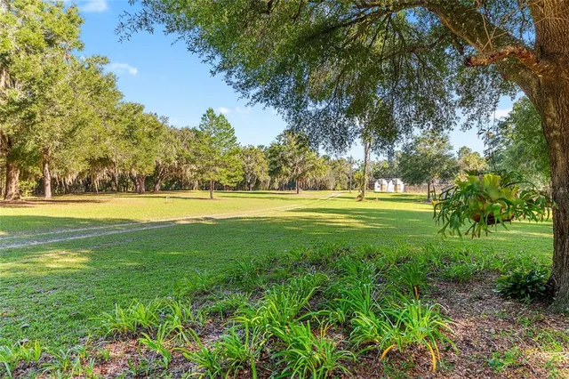 a view of a golf course