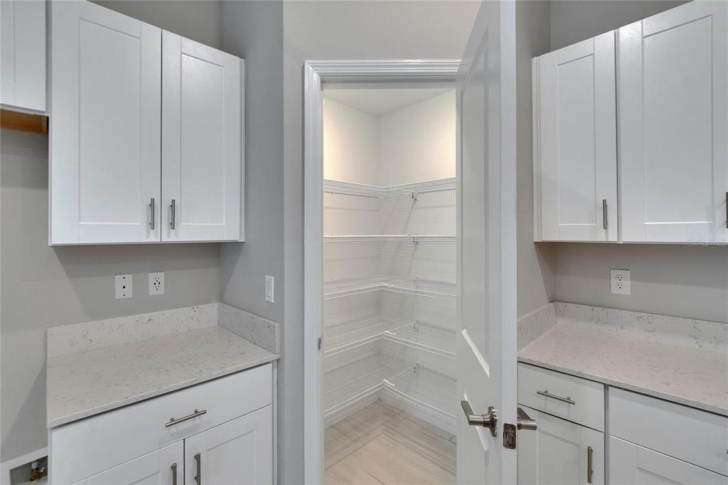 13187 Palmerston Road Riverview, FL 33579 - Photo 6 of 35