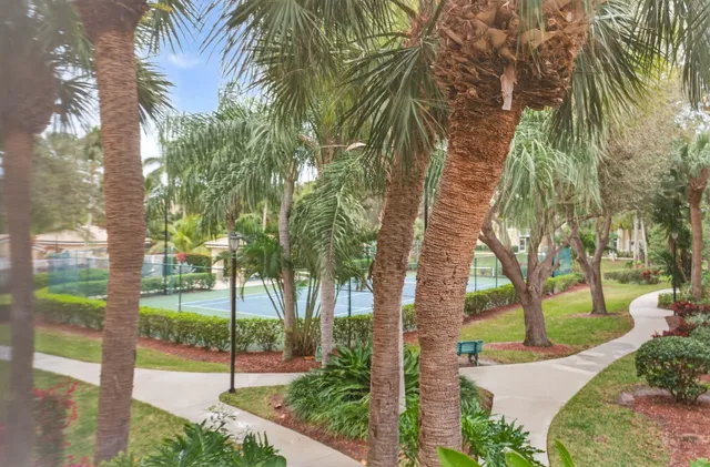 a view of a garden with a tree
