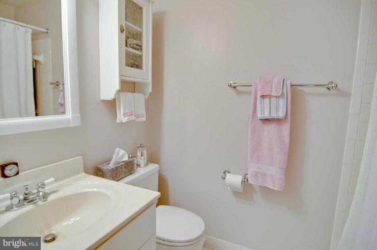 1505 Deer Point Way Reston, VA 20194 - Photo 17 of 19 Upper Level Bathroom