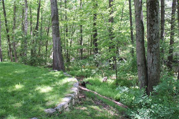 567 Fowler Road Northbridge, MA 01534 - Photo 21 of 22 a backyard of a house with lots of green space