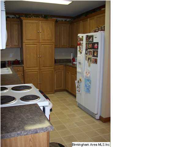 10 Royal Oak Road Jemison, AL 35085 - Photo 6 of 23