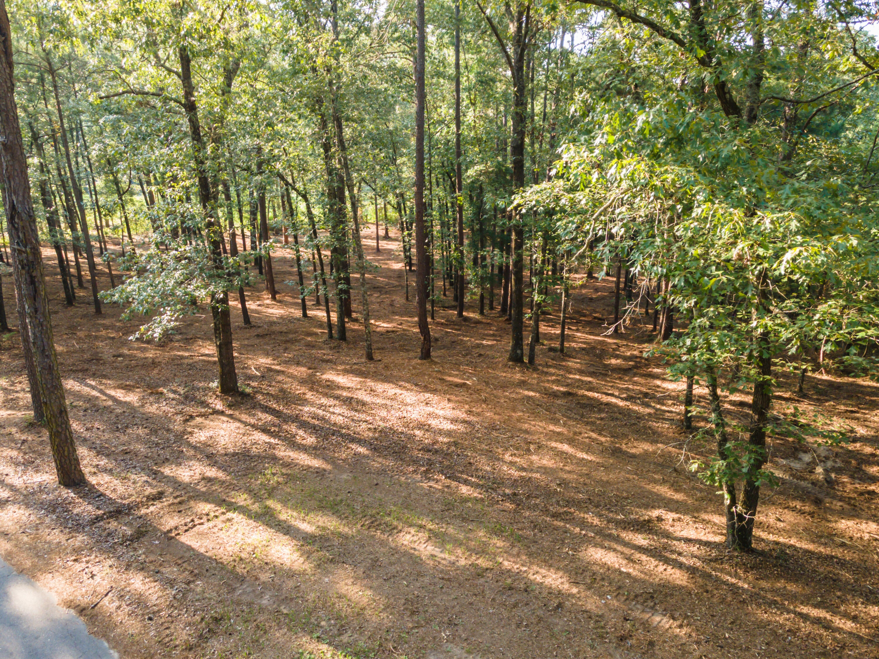 Tbd Edisto Lake Road, Unit 39 Wagener, SC 29164 - Photo 32 of 39 Gallery Image 32