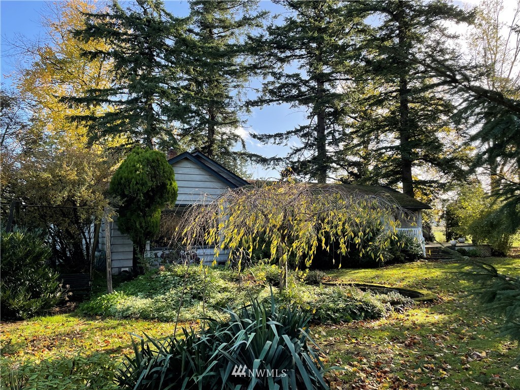295 West Bartlett Road Lynden, WA 98264 - Photo 5 of 10 a view of yard along with trees