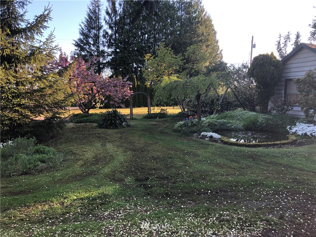 295 West Bartlett Road Lynden, WA 98264 - Photo 6 of 10 a view of a tree in a yard
