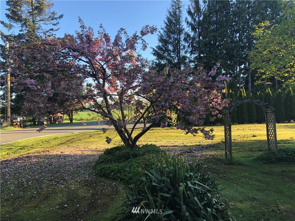 295 West Bartlett Road Lynden, WA 98264 - Photo 8 of 10 a view of a yard with trees