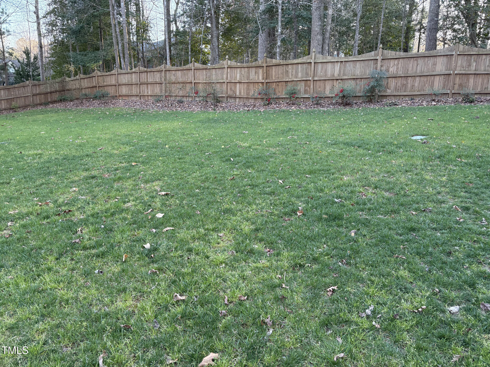 1404 Rhea Drive Garner, NC 27529 - Photo 21 of 23 21) 55633-67ef6ac776b0f