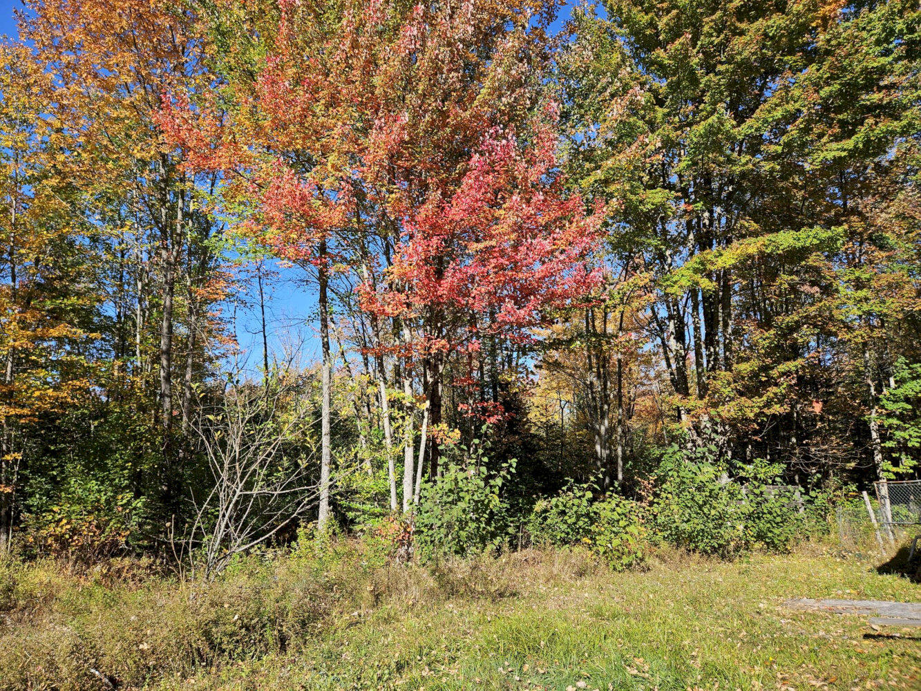 986 Lakewood Road Madison, ME 04950 - Photo 7 of 25 20261003_145226_result