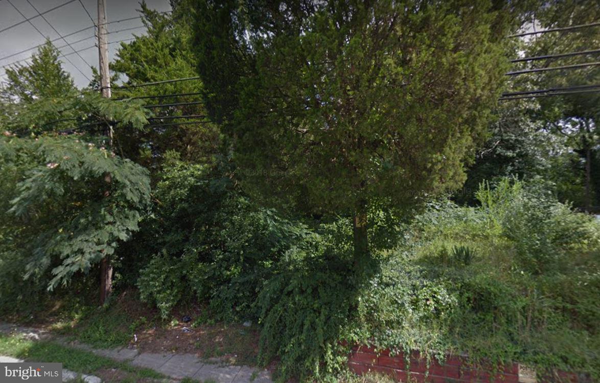 1007 East Commerce Street Bridgeton, NJ 08302 - Photo 2 of 3 Gallery Image 2