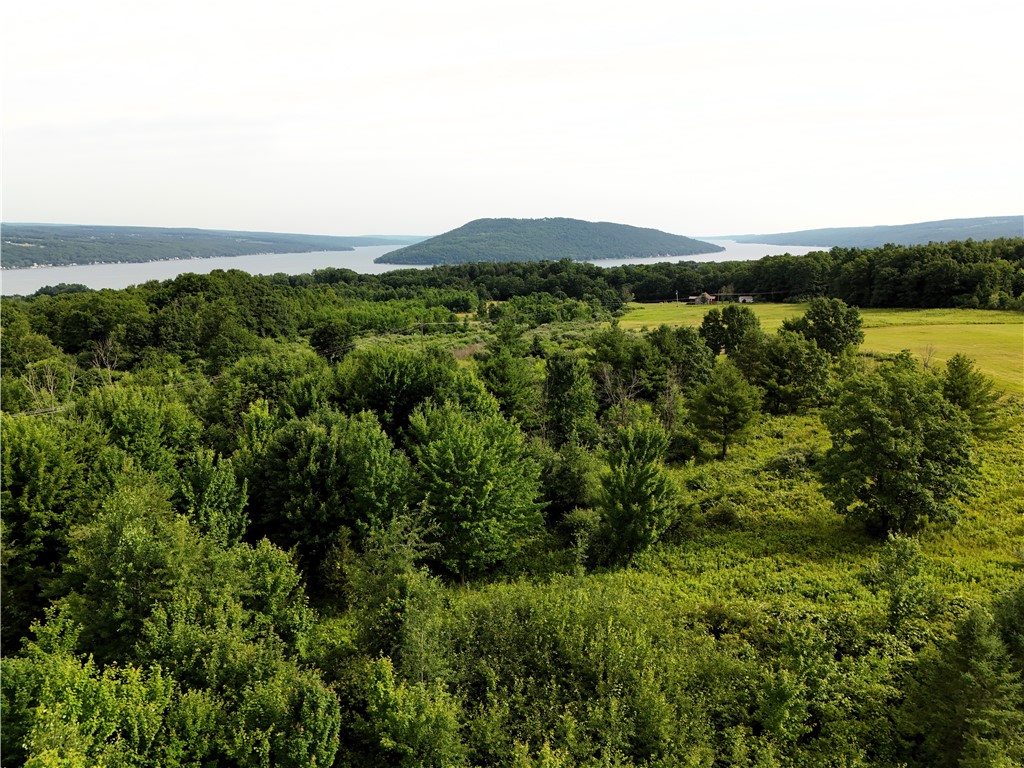 O O Grove Hammondsport, NY 14840 - Photo 8 of 13