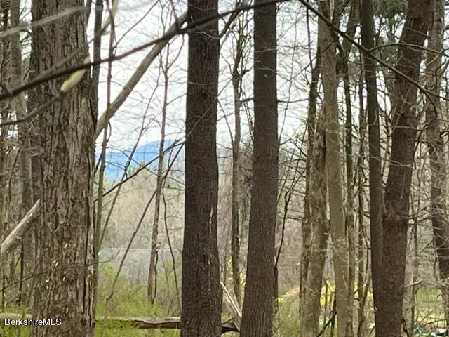 a view of trees and covered with tall trees